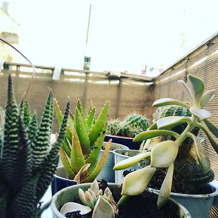 Casadella - Casa Chjuca Citadelle Апартаменты